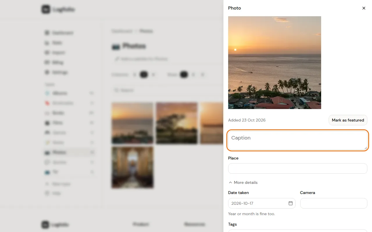 Caption and detail fields for one photo